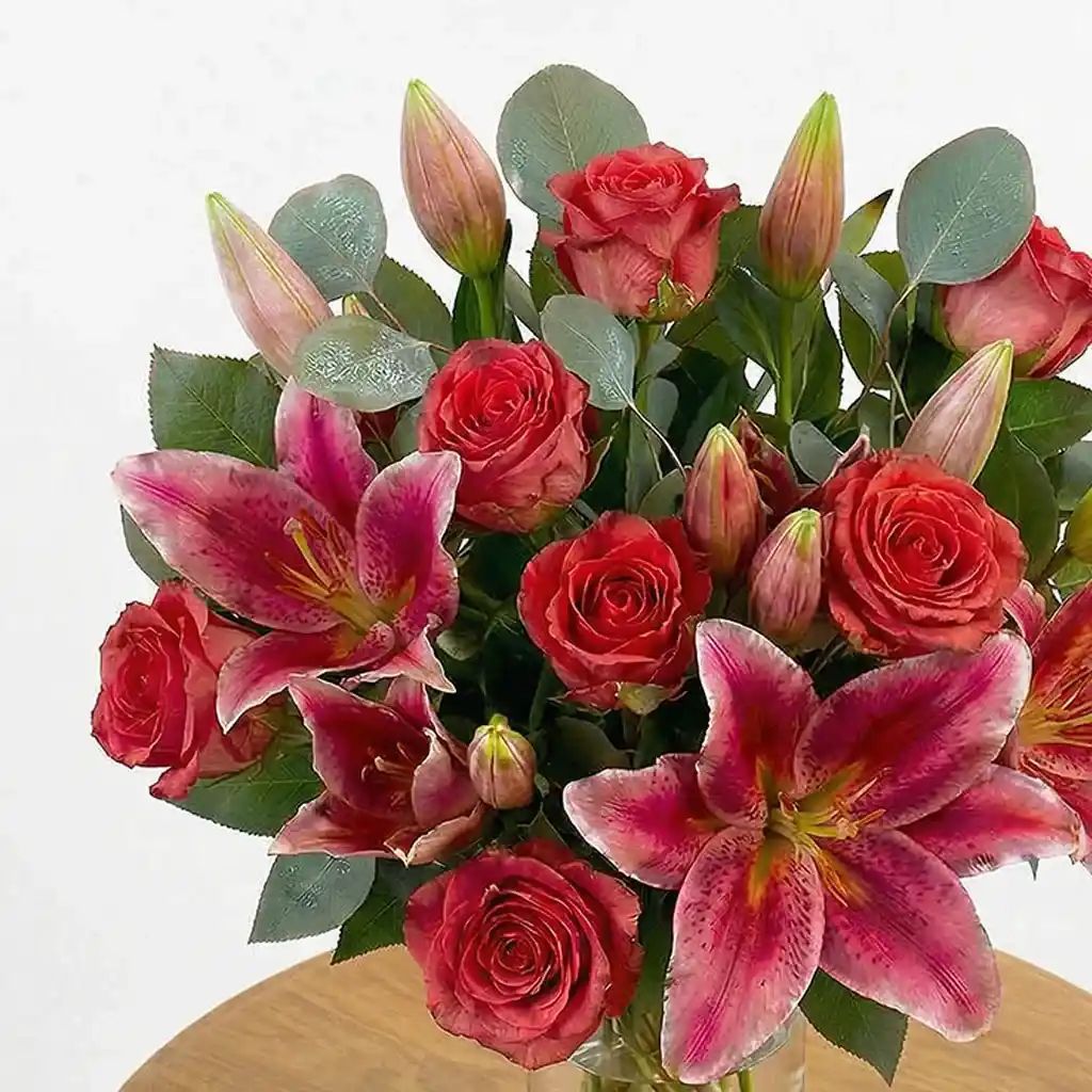 Pink Stargazer