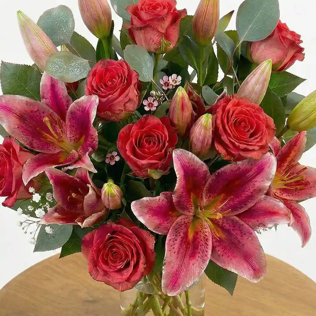 Pink Stargazer